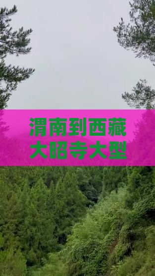 渭南到西藏大昭寺大型旅游团