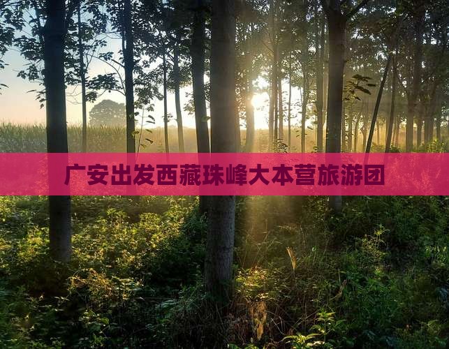 广安到西藏珠峰大本营大型旅游团