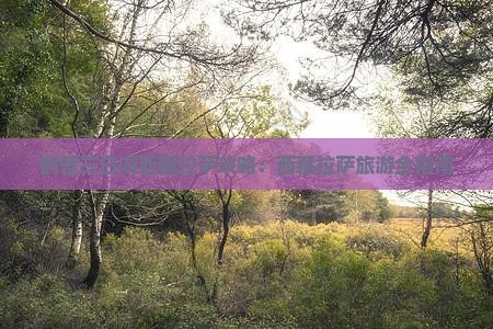 鹤壁去西藏拉萨三日游