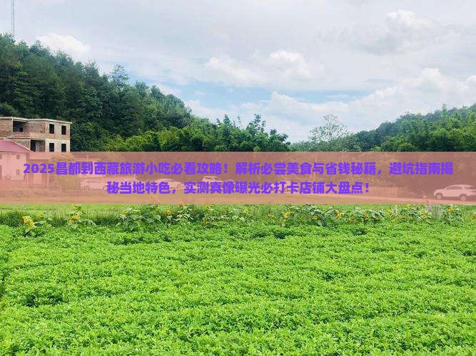 昌都到西藏旅游小吃