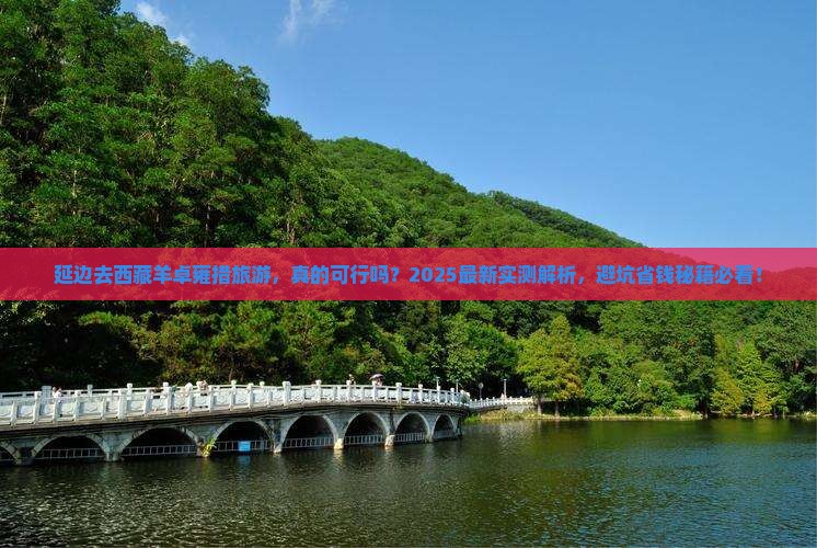 延边去西藏羊卓雍措旅游