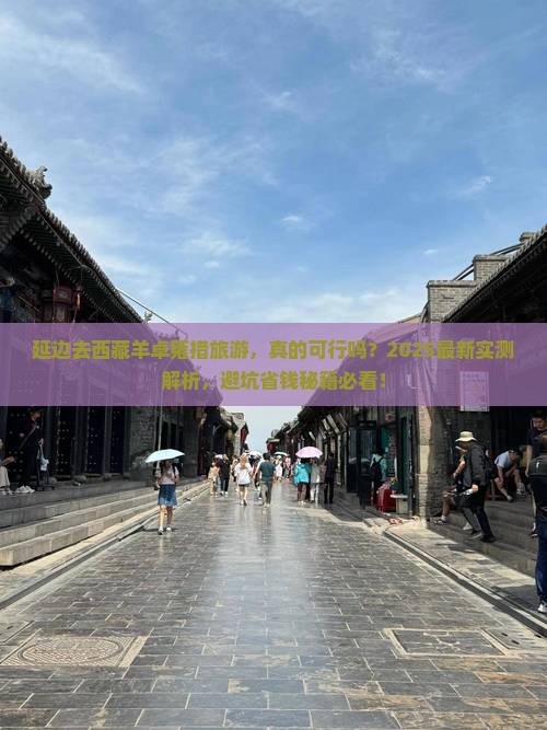 延边去西藏羊卓雍措旅游
