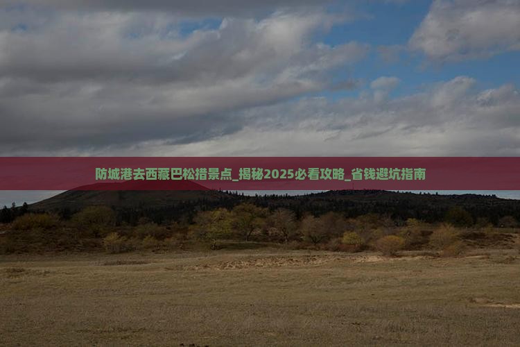 防城港去西藏巴松措景点