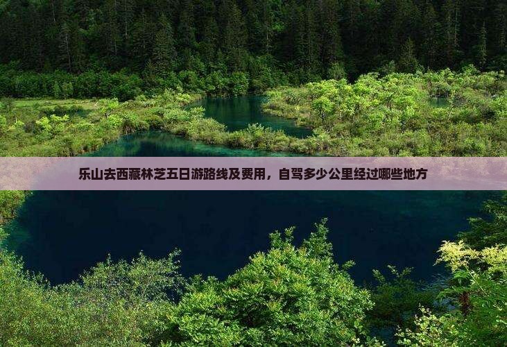 乐山去西藏林芝五日游