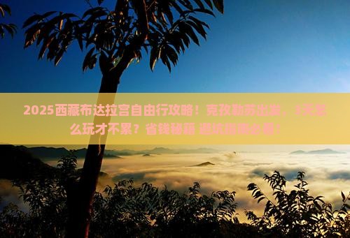 克孜勒苏去西藏布达拉宫自由行