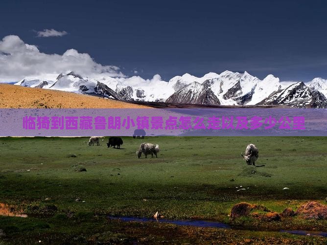 临猗到西藏鲁朗小镇景点