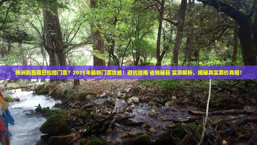 株洲到西藏巴松措门票