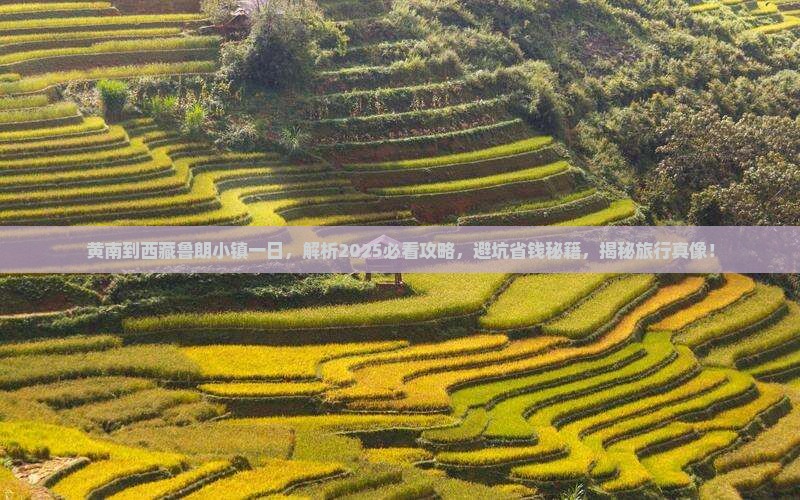 黄南到西藏鲁朗小镇一日
