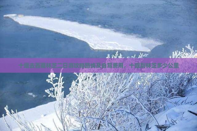 十堰去西藏林芝二日游