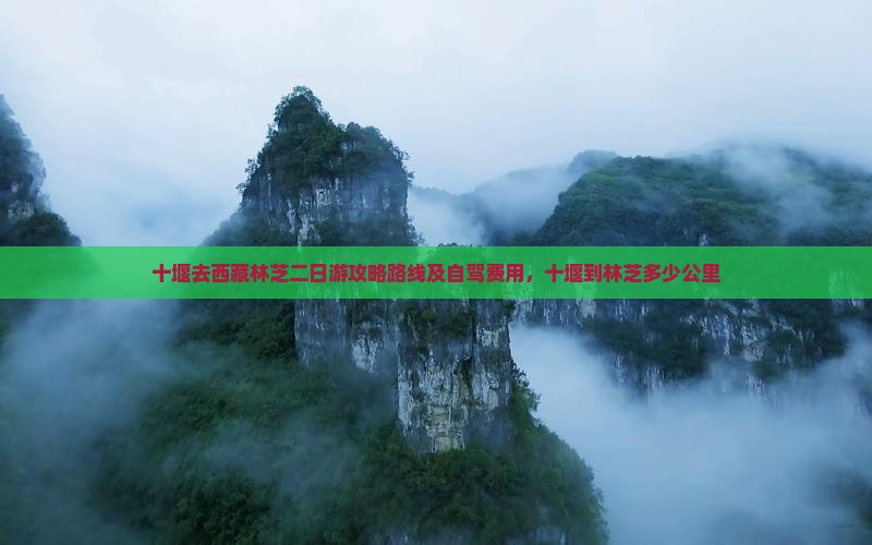 十堰去西藏林芝二日游