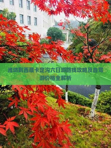 潍坊到西藏卡定沟六日游