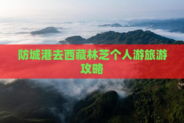 防城港去西藏林芝个人游