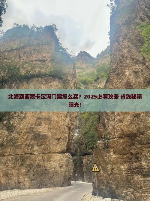 北海到西藏卡定沟门票