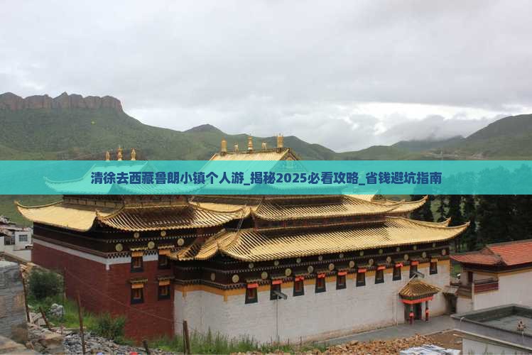 清徐去西藏鲁朗小镇个人游