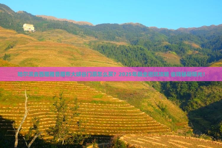 哈尔滨去西藏雅鲁藏布大峡谷门票