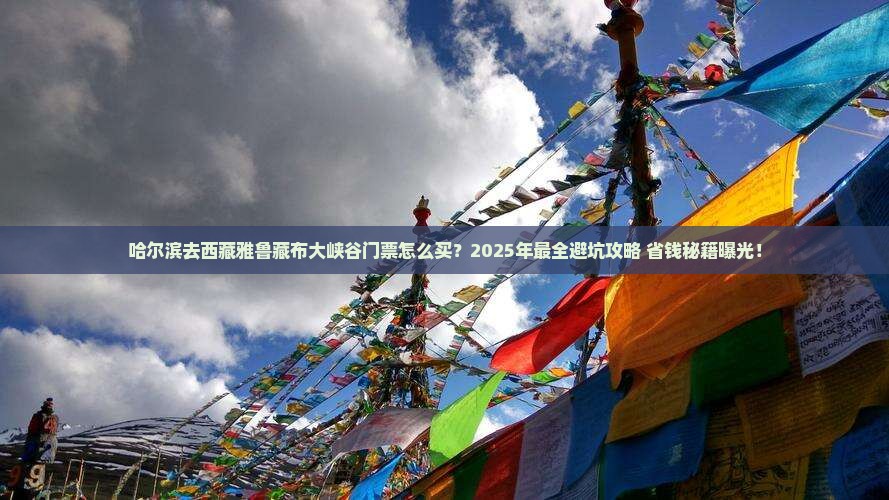 哈尔滨去西藏雅鲁藏布大峡谷门票