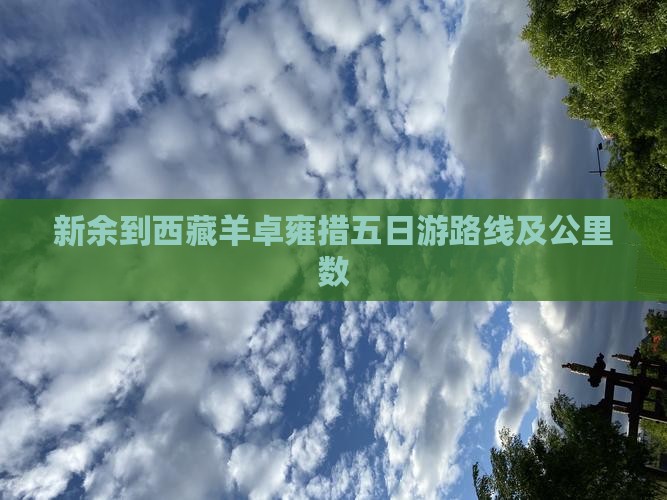 新余到西藏羊卓雍措五日游