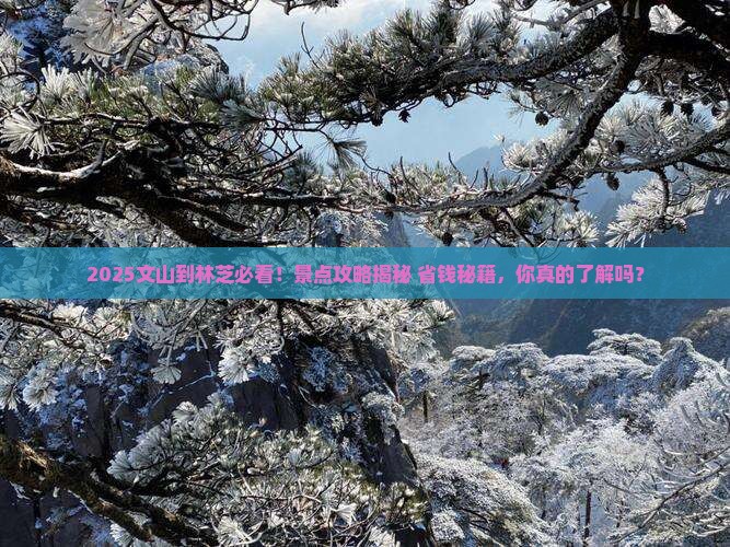 文山到西藏林芝景点