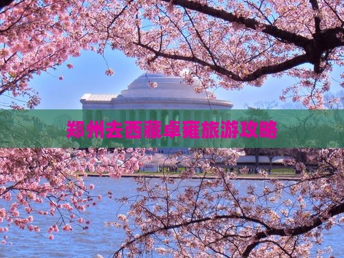 郑州去西藏羊卓雍措个人游
