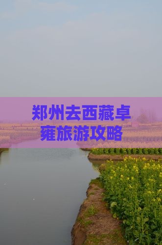 郑州去西藏羊卓雍措个人游