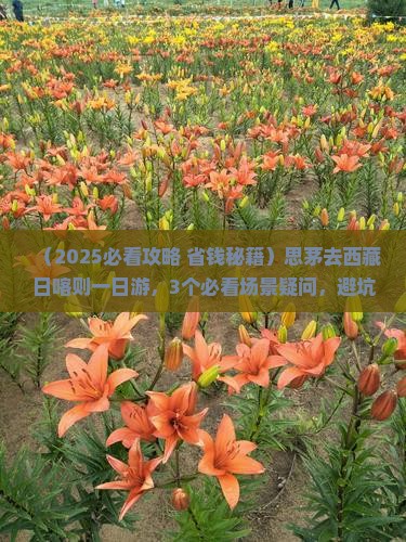 思茅去西藏日喀则一日