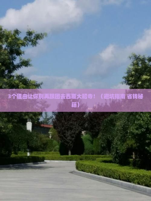 山南去西藏大昭寺团体旅游