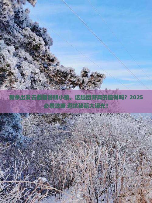 新余去西藏鲁朗小镇团体旅游