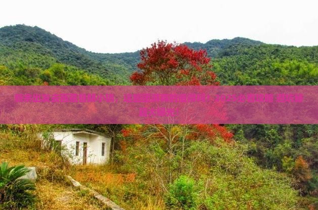 新余去西藏鲁朗小镇团体旅游