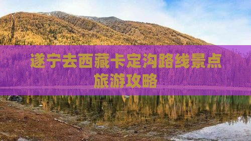 遂宁去西藏卡定沟个人游