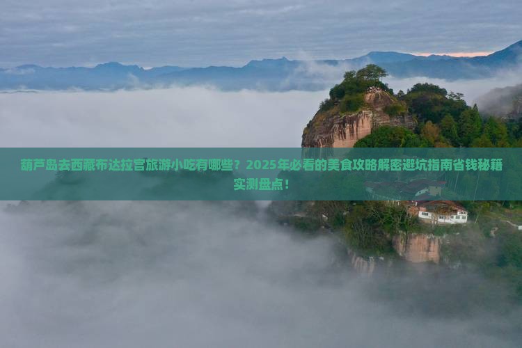 葫芦岛去西藏布达拉宫旅游小吃