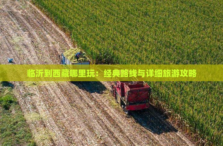 临沂到西藏哪里玩