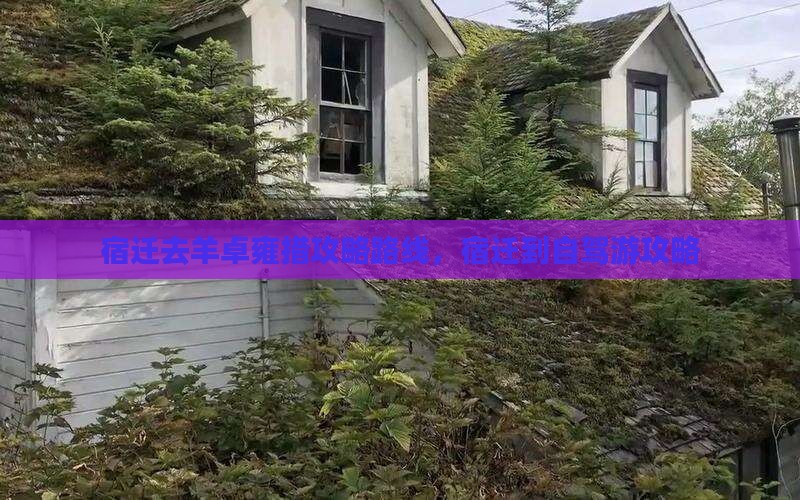 宿迁去西藏羊卓雍措攻略