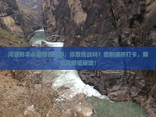 河源到西藏羊卓雍措五日游