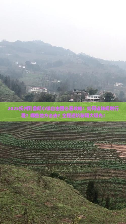 抚州到西藏鲁朗小镇自由团