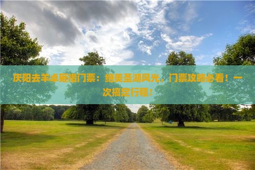 庆阳去西藏羊卓雍措门票