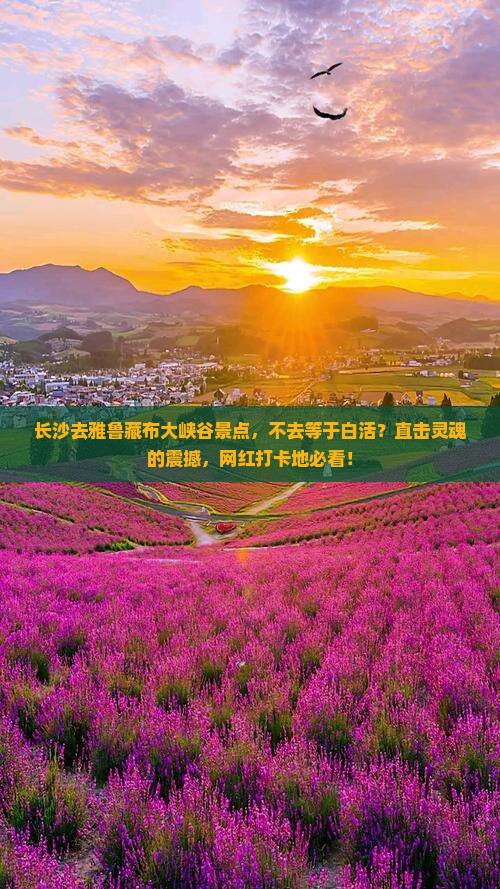 长沙去西藏雅鲁藏布大峡谷景点