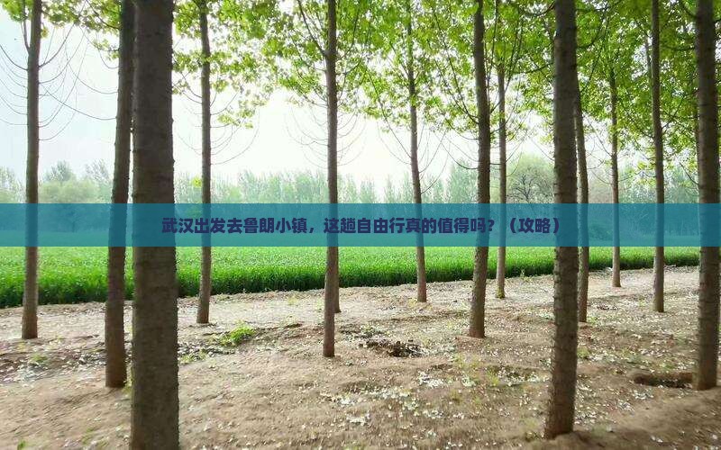 武汉到西藏鲁朗小镇自由行