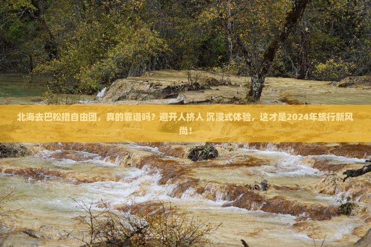 北海去西藏巴松措自由团