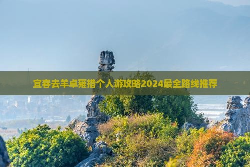 宜春去西藏羊卓雍措个人游