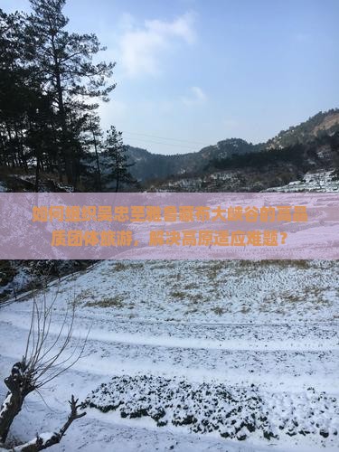 如何组织吴忠至雅鲁藏布大峡谷的高品质团体旅游，解决高原适应难题？