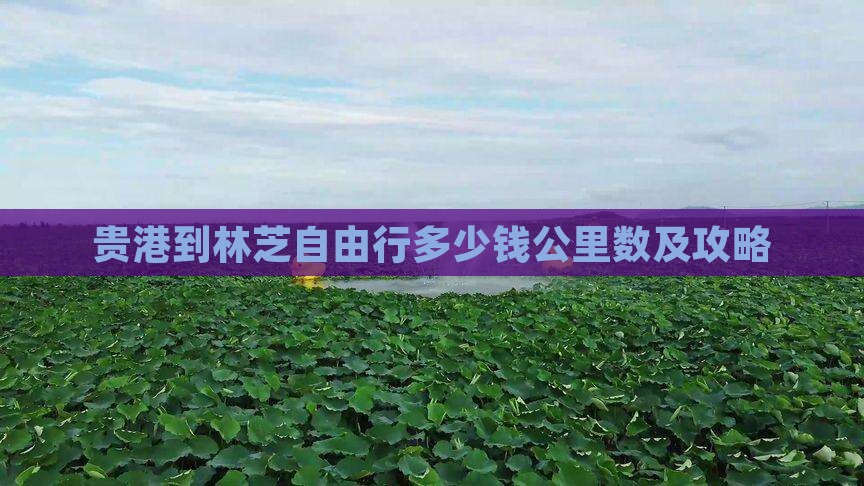贵港到林芝自由行多少钱公里数及攻略