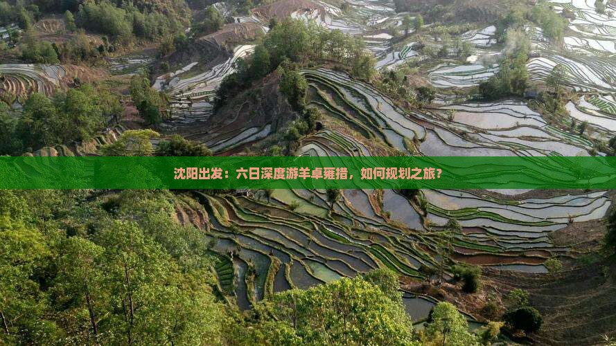 沈阳出发:六日深度游羊卓雍措,如何规划之旅? 沈阳出发:六日深度游羊卓雍措,如何规划之旅?