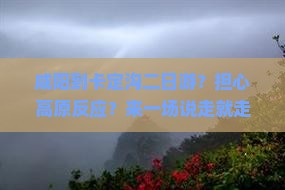 咸阳到卡定沟二日游？担心高原反应？来一场说走就走的自驾游！