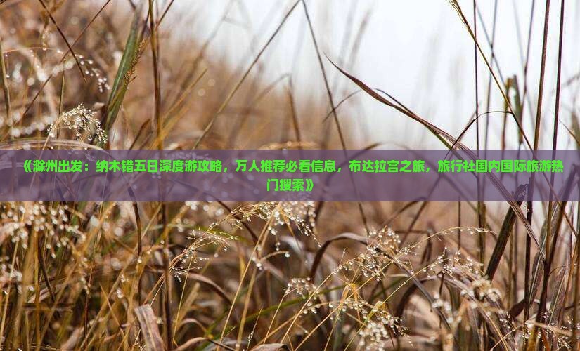 《滁州出发：纳木错五日深度游攻略，万人推荐必看信息，布达拉宫之旅，旅行社国内国际旅游热门搜索》