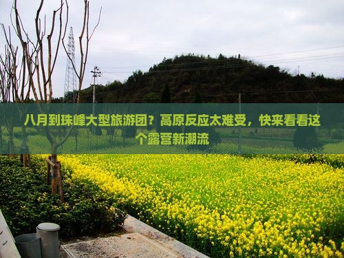 八月到珠峰大型旅游团？高原反应太难受，快来看看这个露营新潮流