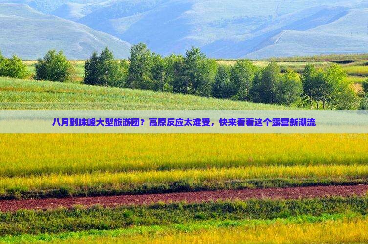 八月到珠峰大型旅游团？高原反应太难受，快来看看这个露营新潮流