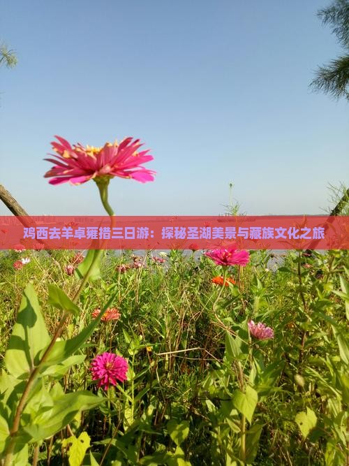 鸡西去羊卓雍措三日游：探秘圣湖美景与藏族文化之旅
