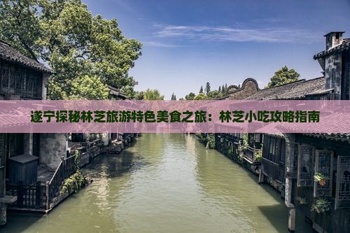 遂宁探秘林芝旅游特色美食之旅：林芝小吃攻略指南