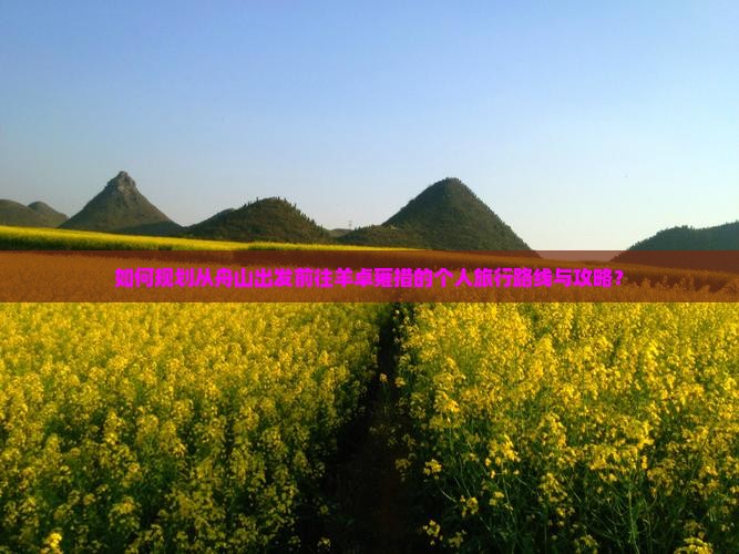 如何规划从舟山出发前往羊卓雍措的个人旅行路线与攻略？