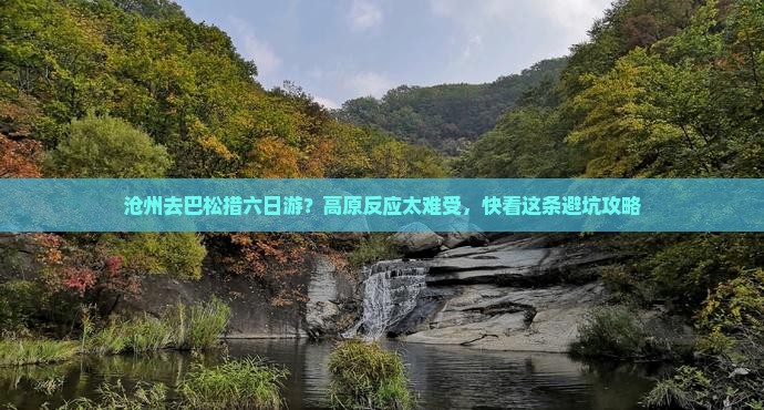 沧州去巴松措六日游？高原反应太难受，快看这条避坑攻略